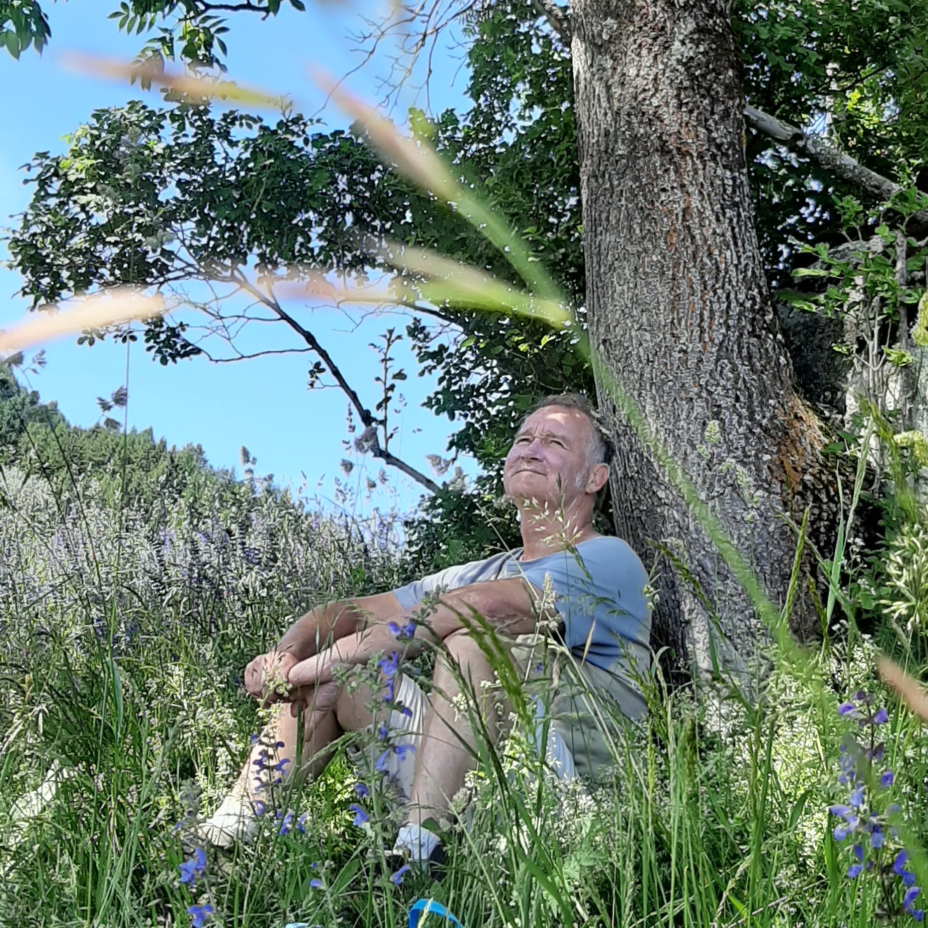 Photo de Bertrand MASSON