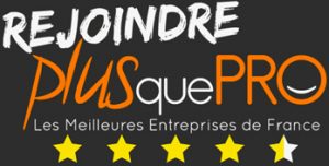 logo plus que pro